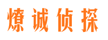 云城市场调查